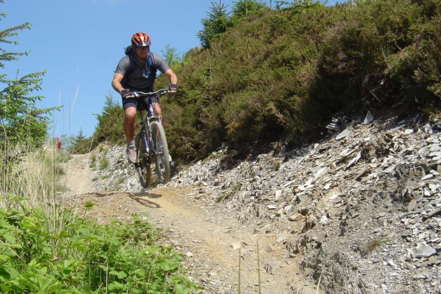  Bicicleta de cerro 